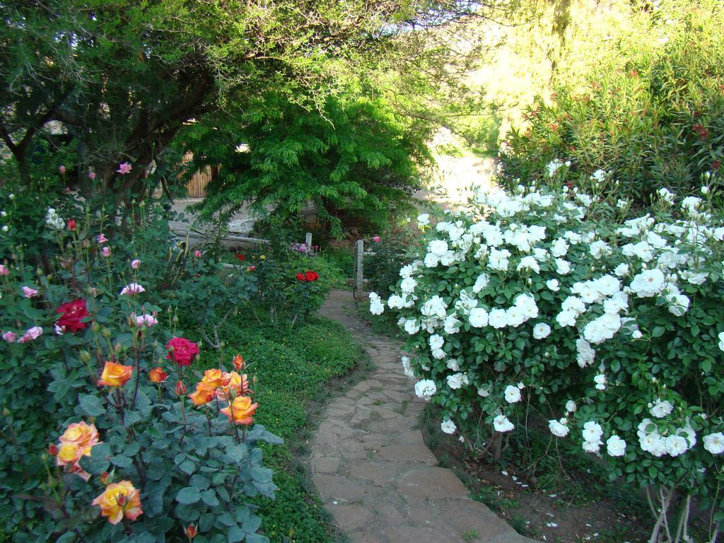 Waterval Farmstay Graaff Reinet Exterior photo